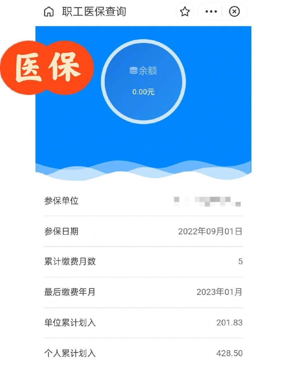 海盐最新为什么缴纳了医保查不到余额方法分析(最方便真实的海盐为什么交了医保后查询不到医保缴费信息方法)