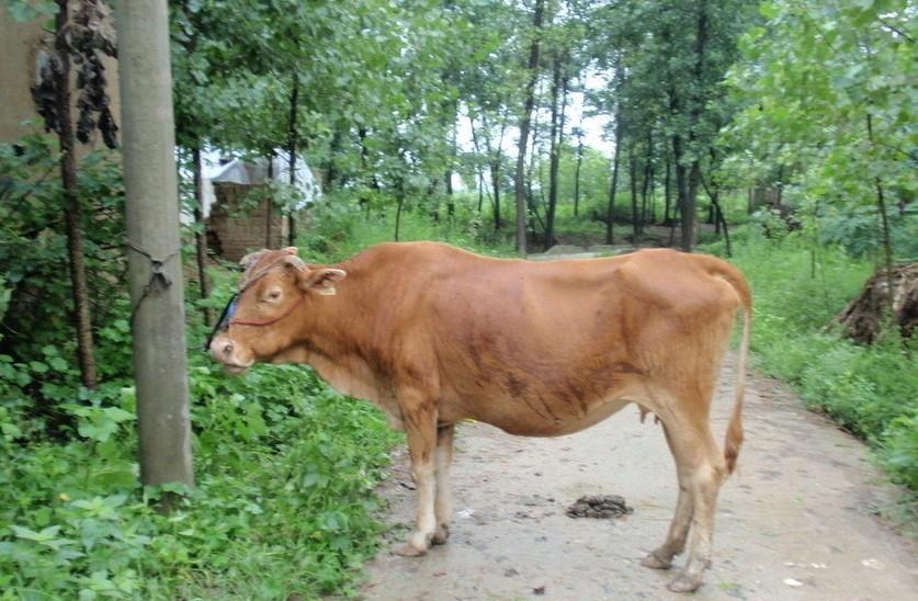 海盐最新求一个套医保卡的黄牛是真的吗方法分析(最方便真实的海盐求一个套医保卡的黄牛是真的吗还是假的方法)